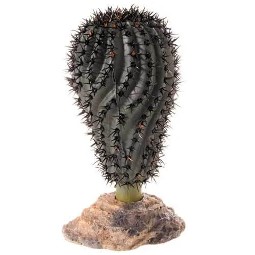 HOBBY-DOSHE AQUARISTIK Cactus Victoria 22 cm Décoration artificielle pour terrarium