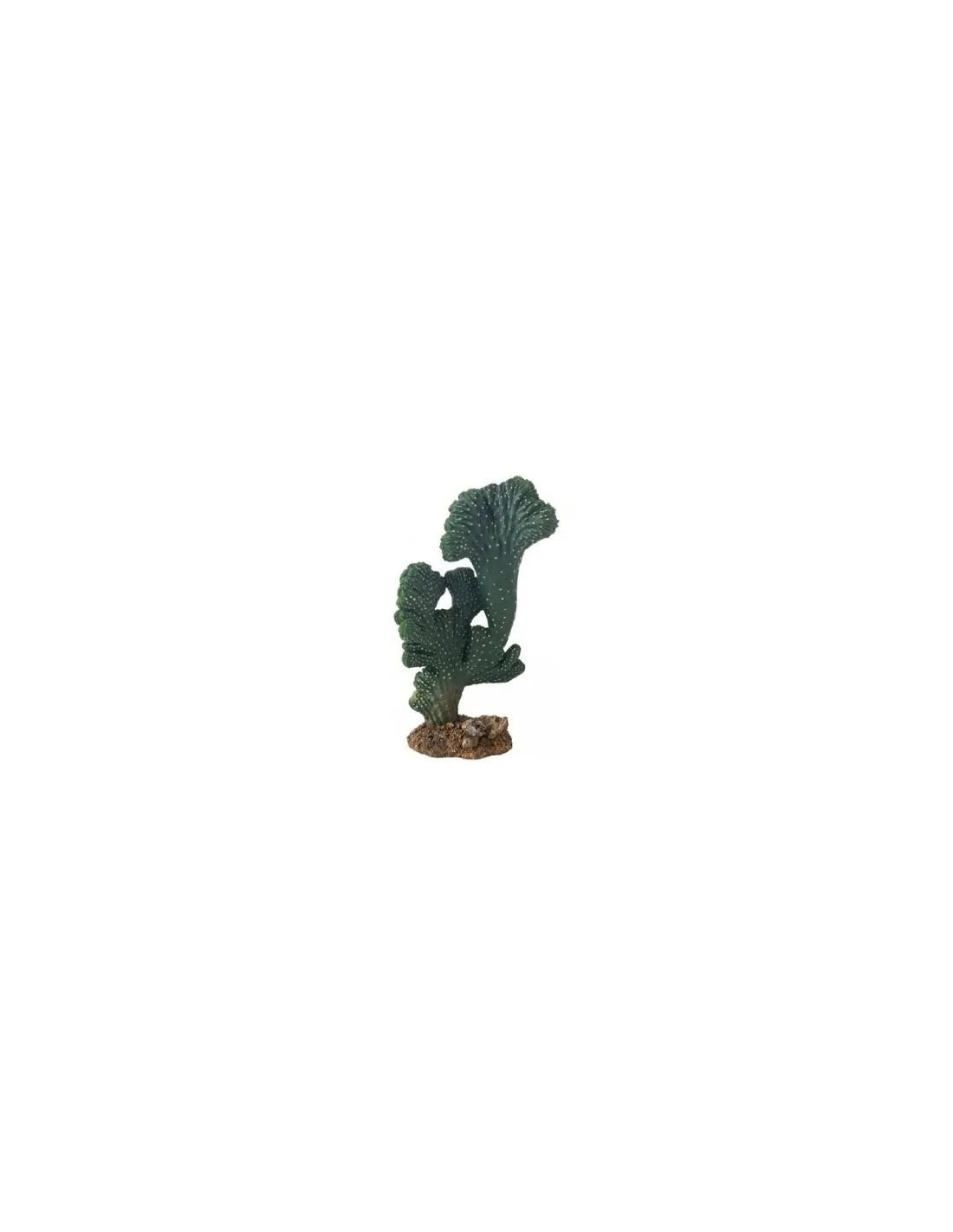 HOBBY-DOSHE AQUARISTIK Cactus Victoria 22 cm Décoration artificielle pour terrarium