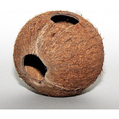 COCOS CAVA 1/1L  JBL