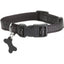 Collier Safe pour chien