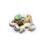 HOBBY-DOSHE AQUARISTIK Coquilles Sea Shells Set S 20 pièces