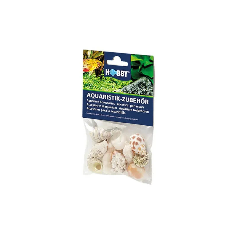 HOBBY-DOSHE AQUARISTIK Coquilles Sea Shells Set S 20 pièces