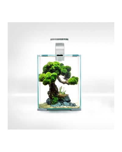 AQUAEL Aquarium Shrimp Set Smart Day & Night 10L Blanc