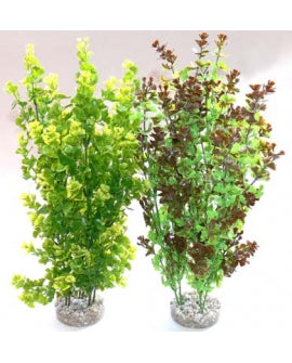 CROCI SPA Racine Mangrove 70 à 100cm 1 pièce