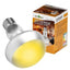 ZOOMED ReptiSun 5% UVB T5 HO 25W 76cm Lampe Fluorescente pour Reptiles Tropicaux