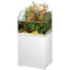 EHEIM Proxima Fauna 113 Blanc 66x51x125cm 8mm 113L avec Meuble