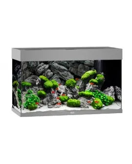 JUWEL PrimoLux 60 2.0 Noir Couvercle d'aquarium LED 60x30cm