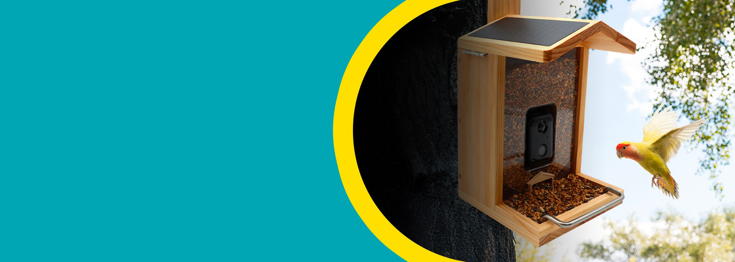 CROCI SPA PST 0,60x15m DF WONDER Laisse pour chien extensible 15 mètres