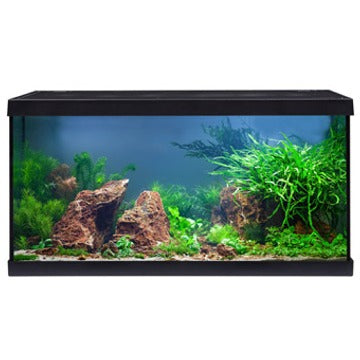 EHEIM Aquastar 54 LED Noir Aquarium 54L 1x7.7W avec Filtre Interne et Chauffage 50W