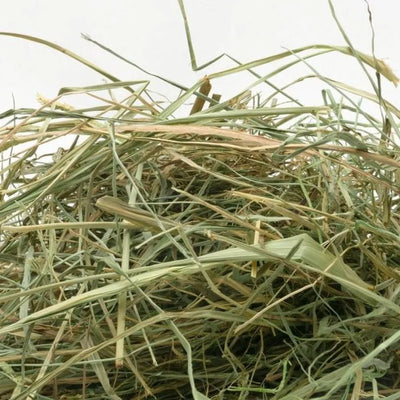 FOIN DE CRAU Foin de Crau AOP sac 6kg