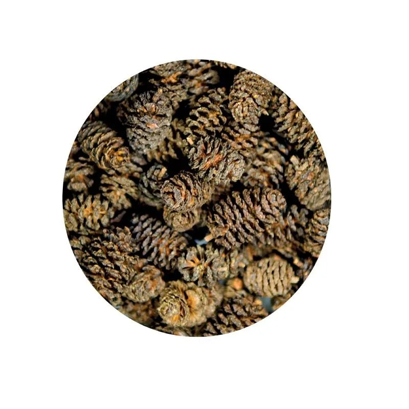 HOBBY-DOSHE AQUARISTIK Alder Cones 50 pièces