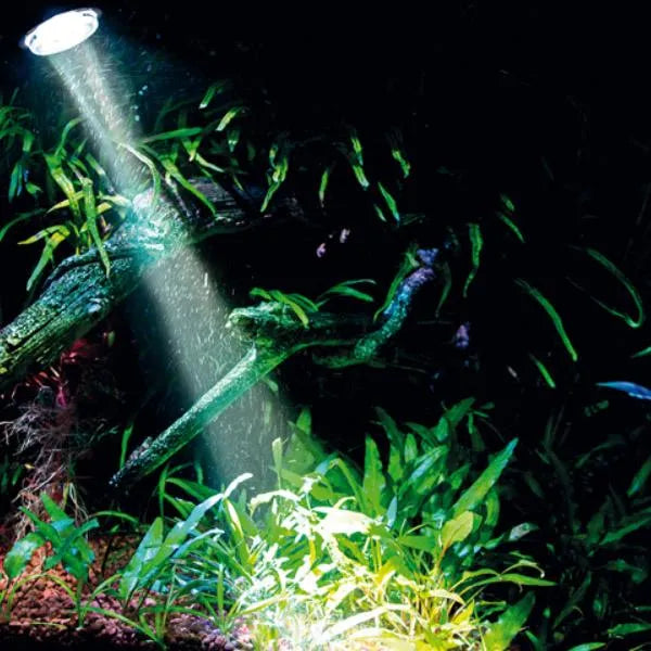 HOBBY-DOSHE AQUARISTIK Spot submersible à LED blanche 1W Bubble Air Daylight