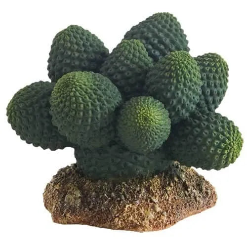 HOBBY-DOSHE AQUARISTIK Cactus Victoria 22 cm Décoration artificielle pour terrarium