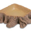 HOBBY-DOSHE AQUARISTIK Abreuvoir Bark 1 9x9x3cm pour Reptiles et Terrariums