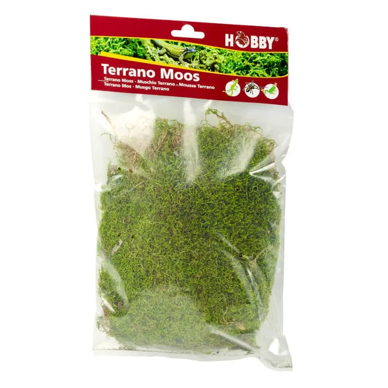 HOBBY-DOSHE AQUARISTIK Terrano Mousse Naturelle 100% Naturelle pour Terrarium 100g