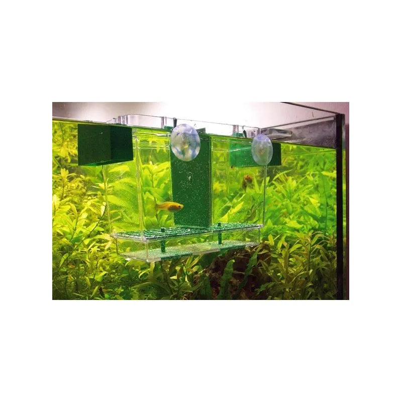 HOBBY-DOHSE AQUARISTIK Pondoire flottant NIDO 2 pour aquarium 21x16x14cm