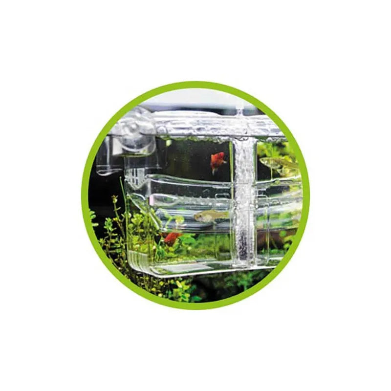 HOBBY-DOSHE AQUARISTIK Nido 5 Pondoir externe pour aquarium 26x14x13 cm