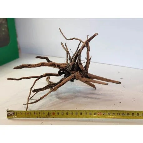 HOBBY-DOSHE AQUARISTIK Racine Deco Wood 210 x 180 x 140 mm Décoration Aquarium Résine