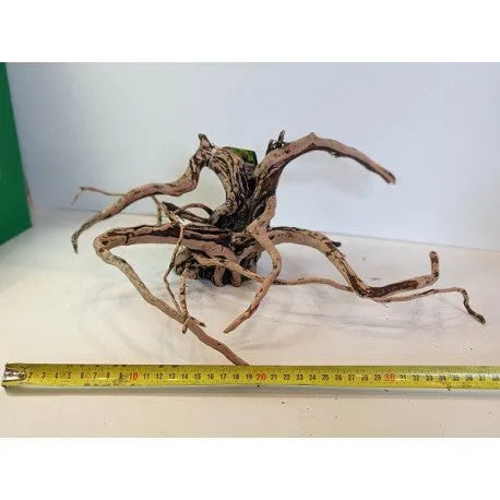 HOBBY-DOSHE AQUARISTIK Racine Deco Wood 270 x 140 x 190 mm Décoration Aquarium Résine