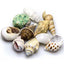 HOBBY-DOSHE AQUARISTIK Coquilles Sea Shells Set M 10 pièces