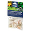 HOBBY-DOSHE AQUARISTIK Coquilles Sea Shells Set M 10 pièces