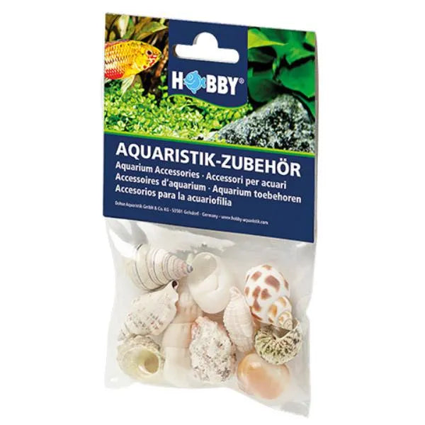 HOBBY-DOSHE AQUARISTIK Coquilles Sea Shells Set M 10 pièces