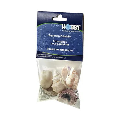 HOBBY-DOSHE AQUARISTIK Coquilles Sea Shells Set M 10 pièces