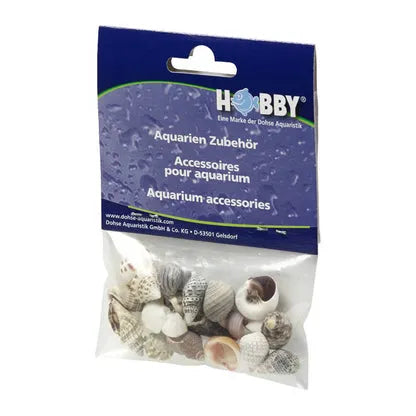 HOBBY-DOSHE AQUARISTIK Coquilles Sea Shells Set L 5 pièces