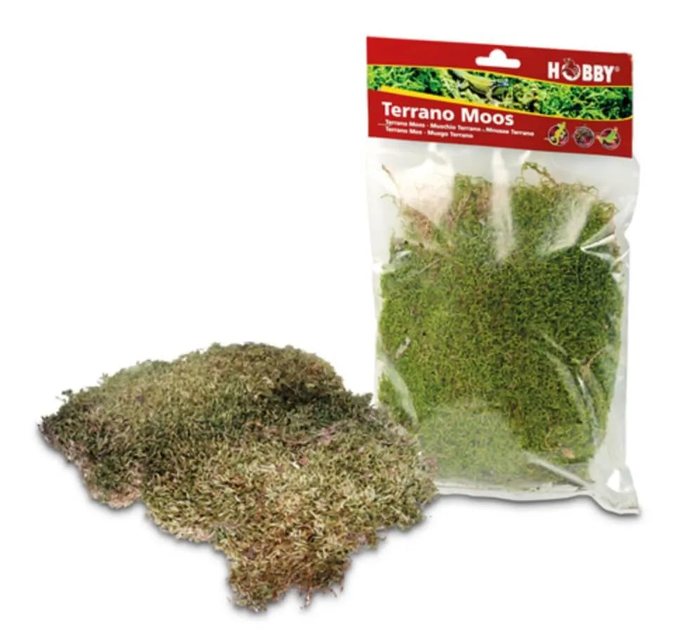HOBBY-DOSHE AQUARISTIK Terrano Mousse Naturelle 100% Naturelle pour Terrarium 100g