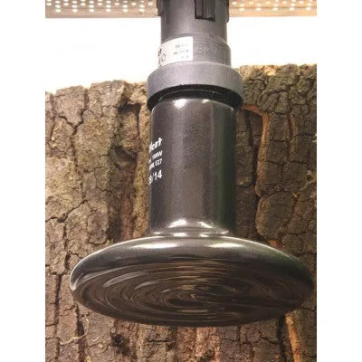 JBL REPTIHEAT 100W Céramique Sombre Chauffage Sans Lumière pour Terrarium