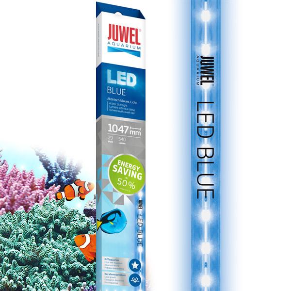 AQUAEL Spot submersible à LED bleu MOONLIGHT Éclairage nocturne pour aquarium