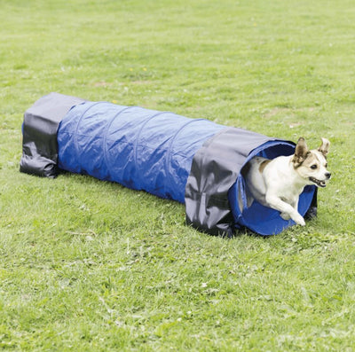 TRIXIE Mini Tunnel Fun Agility Ø 40 cm x 2 m Bleu