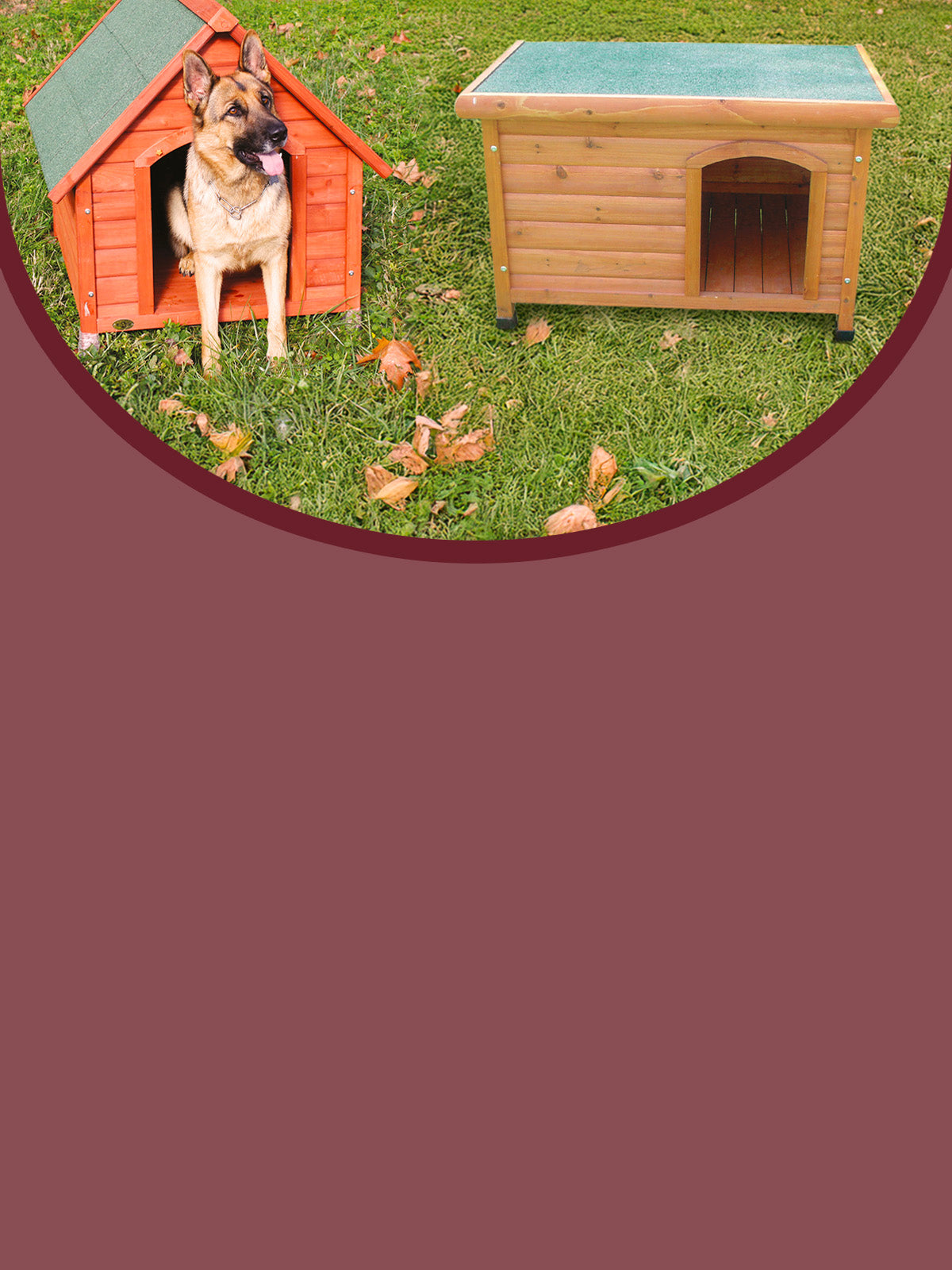 CROCI SPA PST 0,60x15m DF WONDER Laisse pour chien extensible 15 mètres