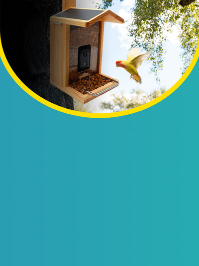 CROCI SPA PST 0,60x15m DF WONDER Laisse pour chien extensible 15 mètres