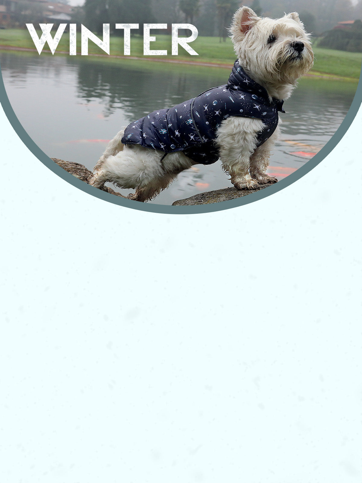 CROCI SPA PST 0,60x15m DF WONDER Laisse pour chien extensible 15 mètres