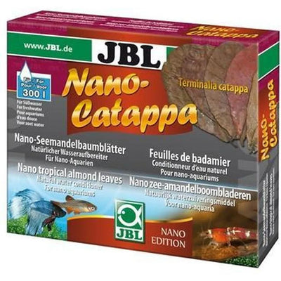 Nano Catappa  feuille de badamier