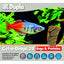 DUPLA Gel-O-Drops 24 Bugs & Proteins Nourriture en Gel pour Poissons Tropicaux 12x2g