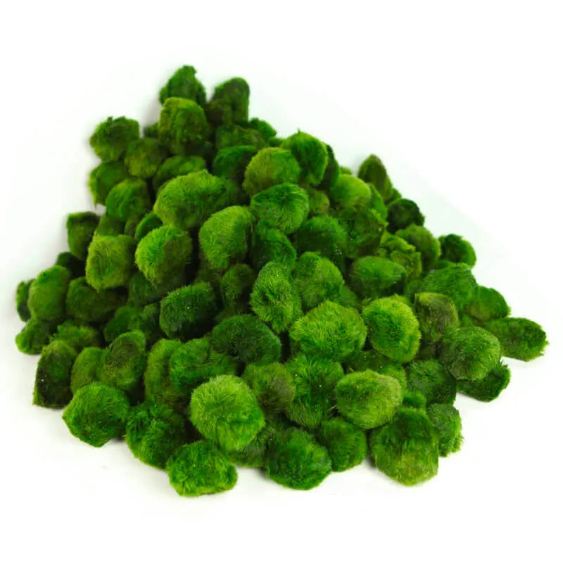 HOBBY-DOSHE AQUARISTIK TERRANO Écorce de pin 25L