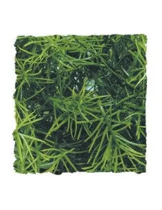 HOBBY-DOSHE AQUARISTIK LIANE M 80x6cm liane décorative naturelle pour terrarium