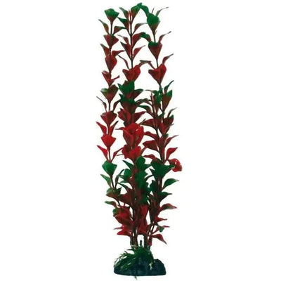 PLANTE LUDWIGIA 18cm