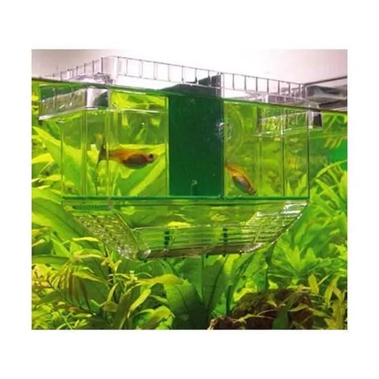 HOBBY-DOHSE AQUARISTIK Pondoire flottant NIDO 2 pour aquarium 21x16x14cm