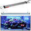 EHEIM Rampe Power LED+ marine actinic 487mm 13W