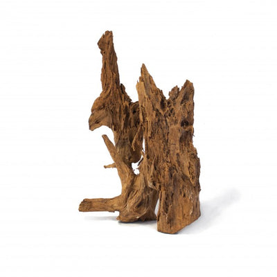 CROCI SPA Racine Mangrove 70 à 100cm 1 pièce