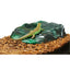 ZOOMED Cuve Low Boy 91x46x25 cm Terrarium pour Reptiles et Amphibiens