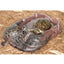 ZOOMED Cuve Low Boy 91x46x25 cm Terrarium pour Reptiles et Amphibiens