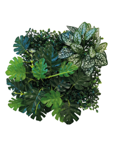 HOBBY-DOSHE AQUARISTIK Cactus Victoria 19cm Décoration Résine pour Terrarium