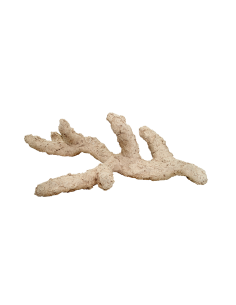 ARKA BIOTECHNOLOGIE Roche céramique Black Plane Puzzle 30cm