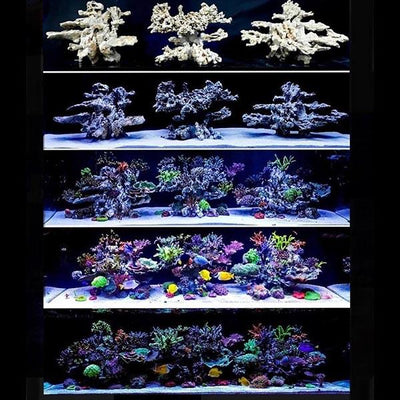 ARKA BIOTECHNOLOGIE Roche céramique Column Natur 20cm pour aquarium récifal