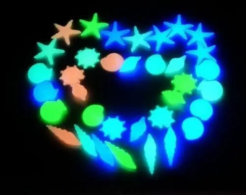 HOBBY-DOSHE AQUARISTIK Dupla Marin Power Calcium 800g