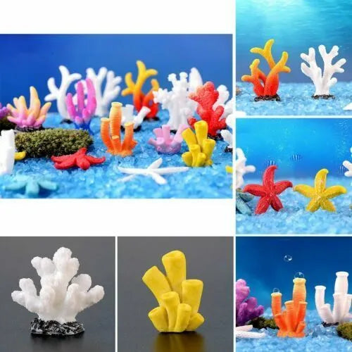 HOBBY-DOSHE AQUARISTIK Dupla Marin Power Calcium 800g